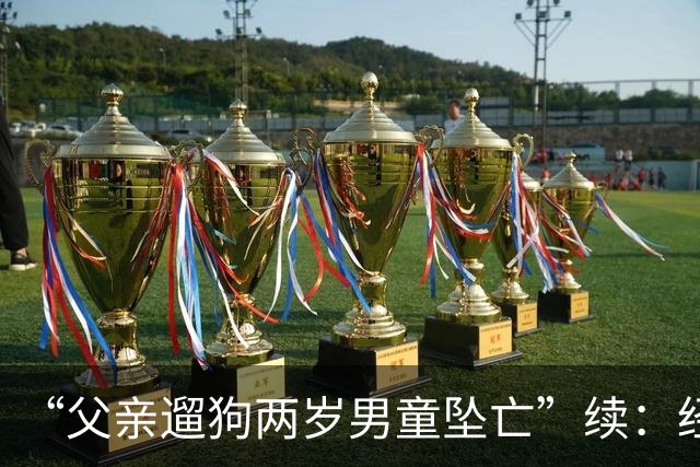 “父亲遛狗两岁男童坠亡”续：经审查没有犯罪事实，警方不予立案
